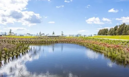 Landscape Services Tauranga