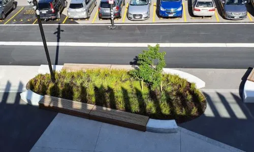 Landscape Services Tauranga work