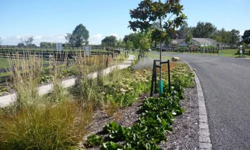 Landscape Services Tauranga work