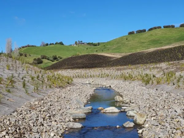 Landscape Services Tauranga work