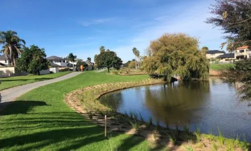 Landscape Services Tauranga work