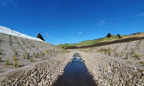 Landscape Services Tauranga work