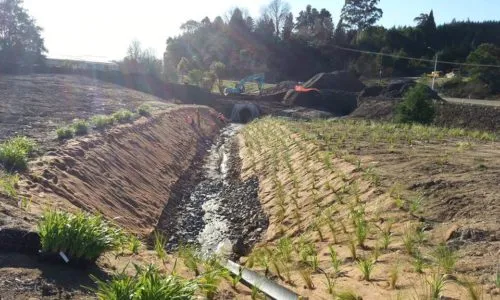 Landscape Services Tauranga work